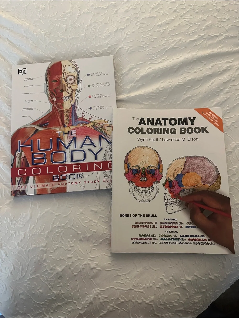 The Anatomy Coloring Book - White Cover -